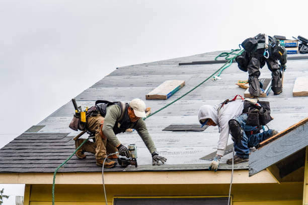 Professional Emergency Roof Repair technician working in Dixon, IL